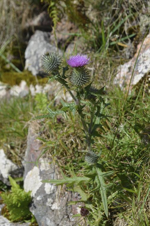 Highland Holiday House Βίλα Durness Εξωτερικό φωτογραφία