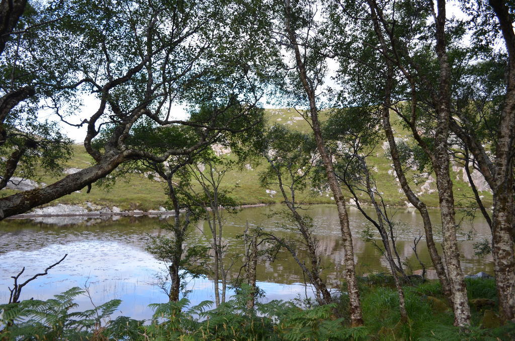 Highland Holiday House Βίλα Durness Εξωτερικό φωτογραφία